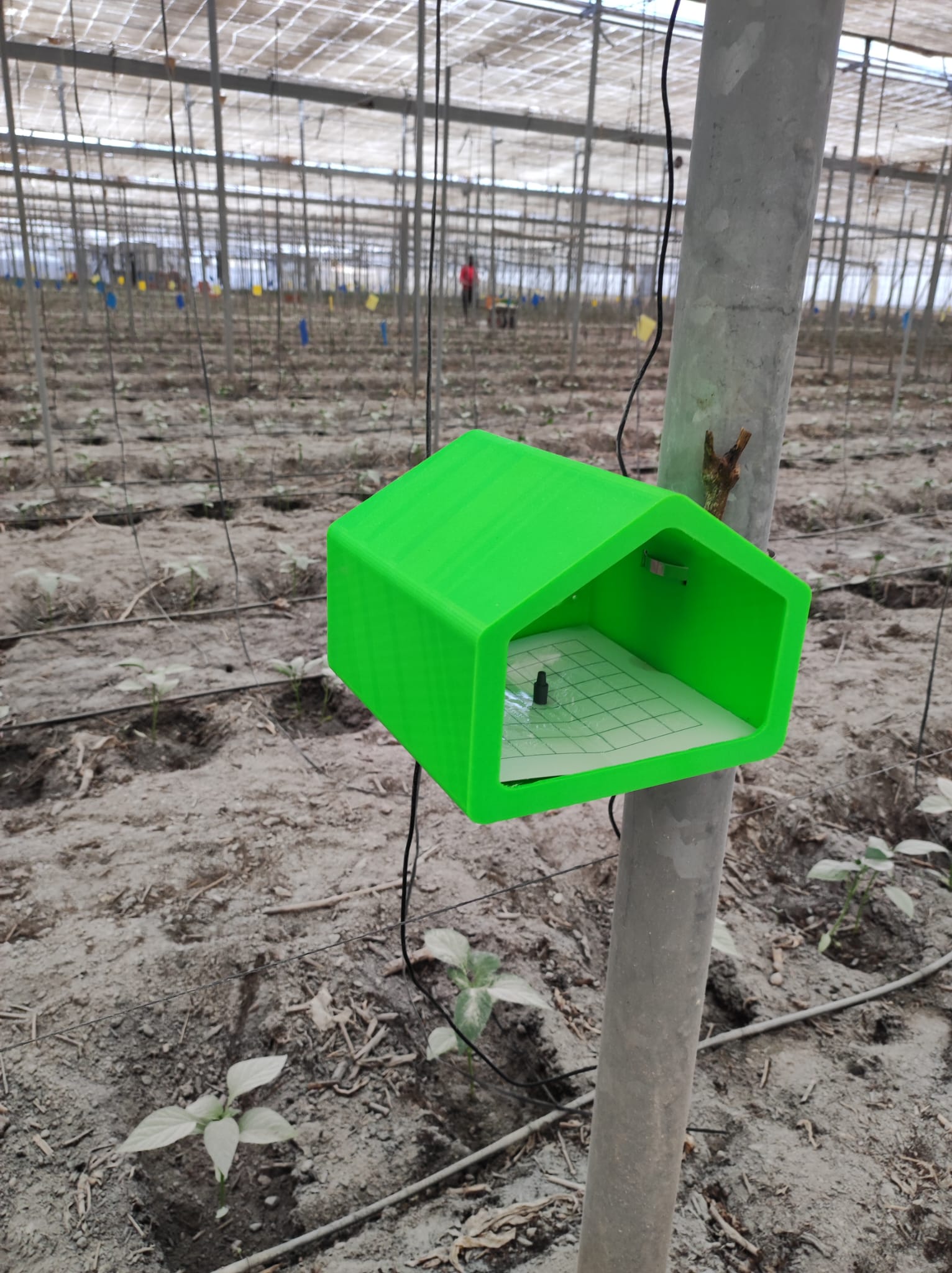 Agricultura